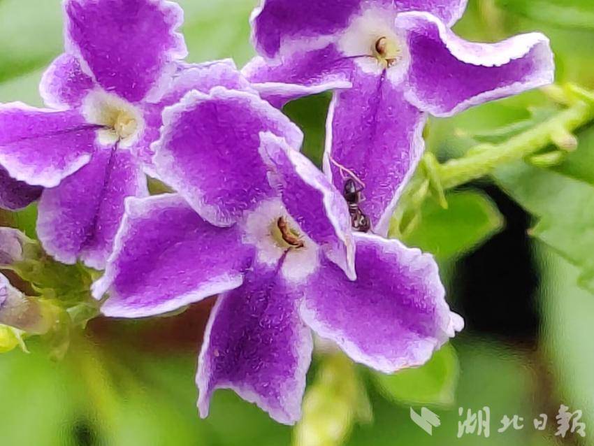 永利手游技巧